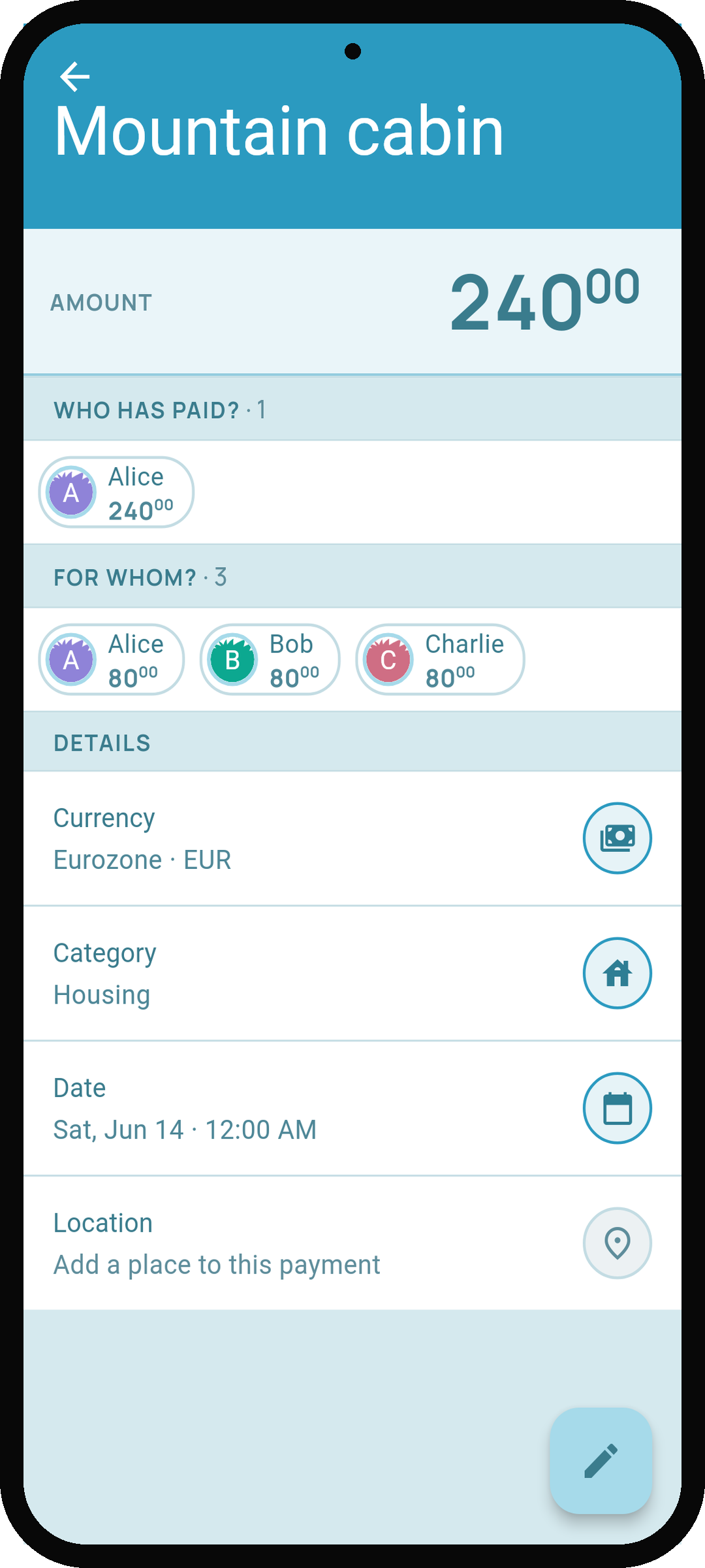 Debtster payment detail screen