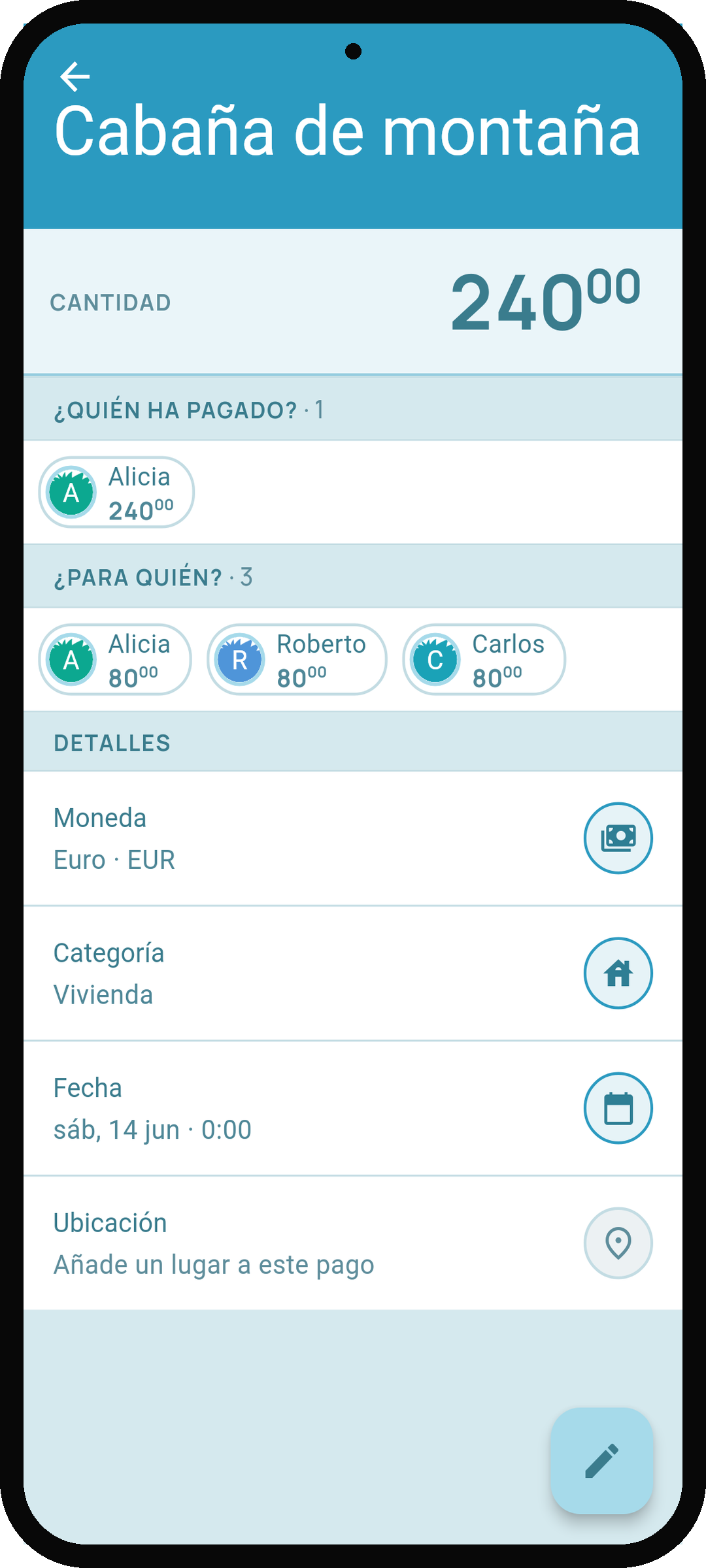 Pantalla de detalle de pago de Debtster