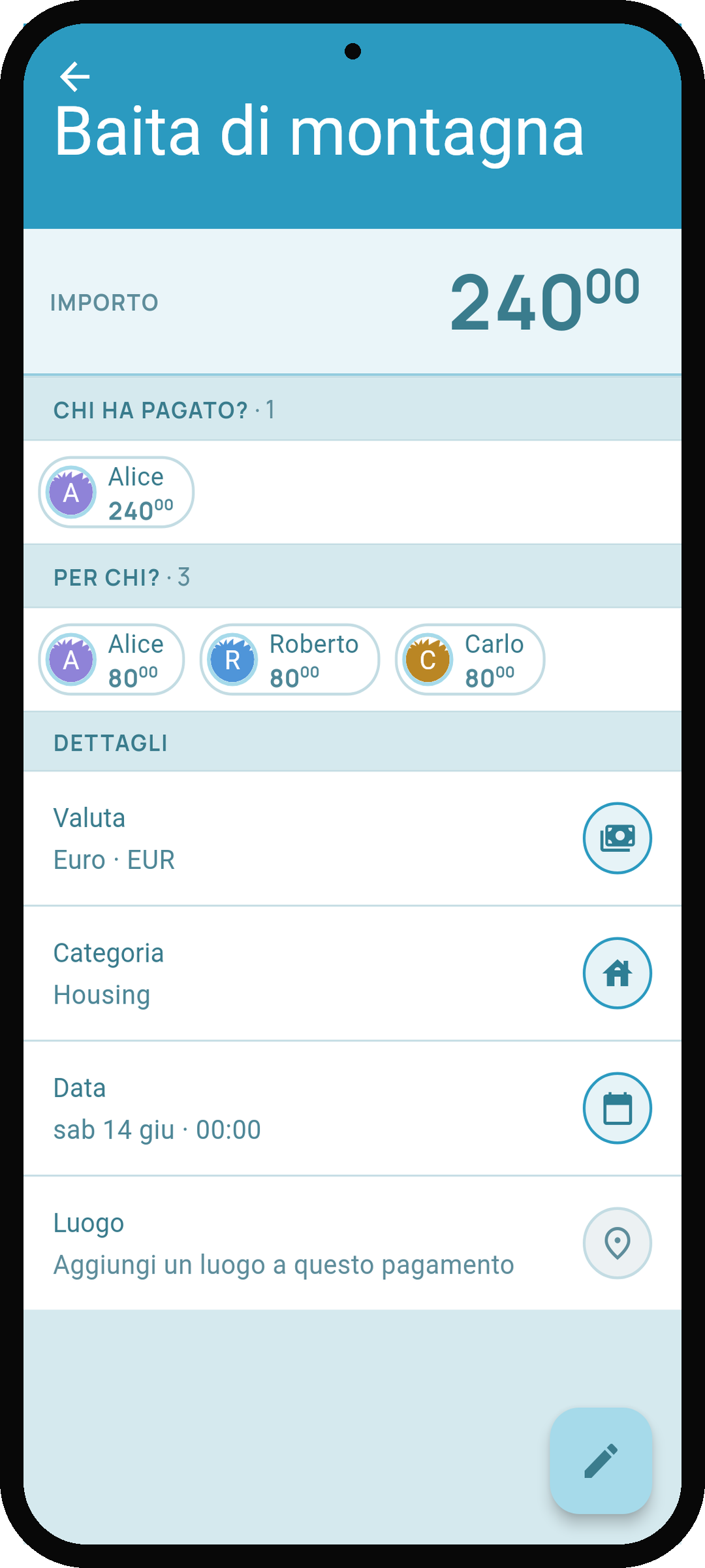 Schermata di dettaglio pagamento di Debtster